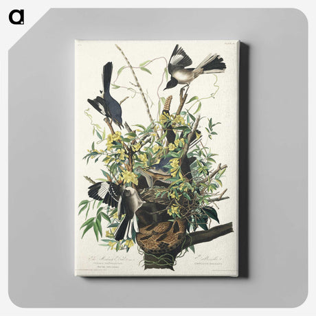 1-56_John-James-Audubon_canvas