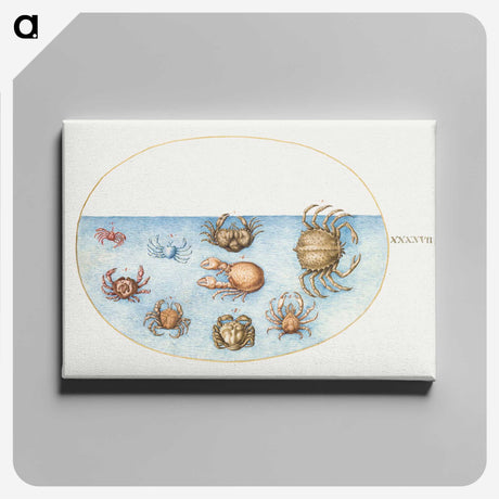 1-56_Joris-Hoefnagel_canvas
