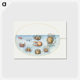 1-56_Joris-Hoefnagel_postcard