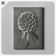 1-56_Karl-Blossfeldt_canvas