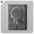 アートパネル-Phacelia Tanacetifolia - カール ブロスフェルト Canvas.