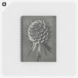 1-56_Karl-Blossfeldt_memo