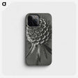 1-56_Karl-Blossfeldt_phone