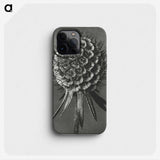 1-56_Karl-Blossfeldt_phone