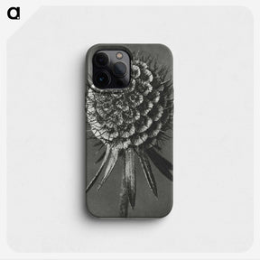 1-56_Karl-Blossfeldt_phone