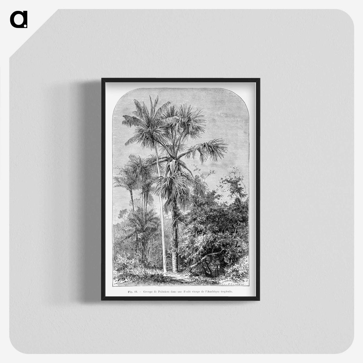 1-56_Les-Palmiers-Histoire-Iconographique_blk-crop