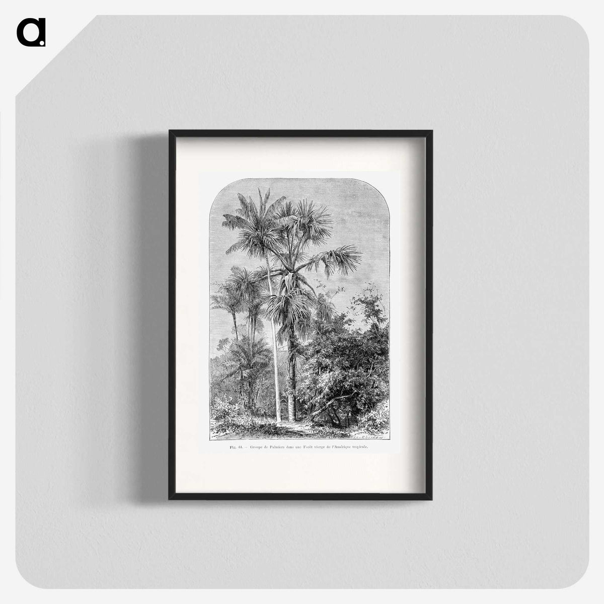 1-56_Les-Palmiers-Histoire-Iconographique_blk