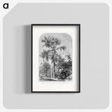 1-56_Les-Palmiers-Histoire-Iconographique_blk