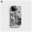 1-56_Les-Palmiers-Histoire-Iconographique_phone