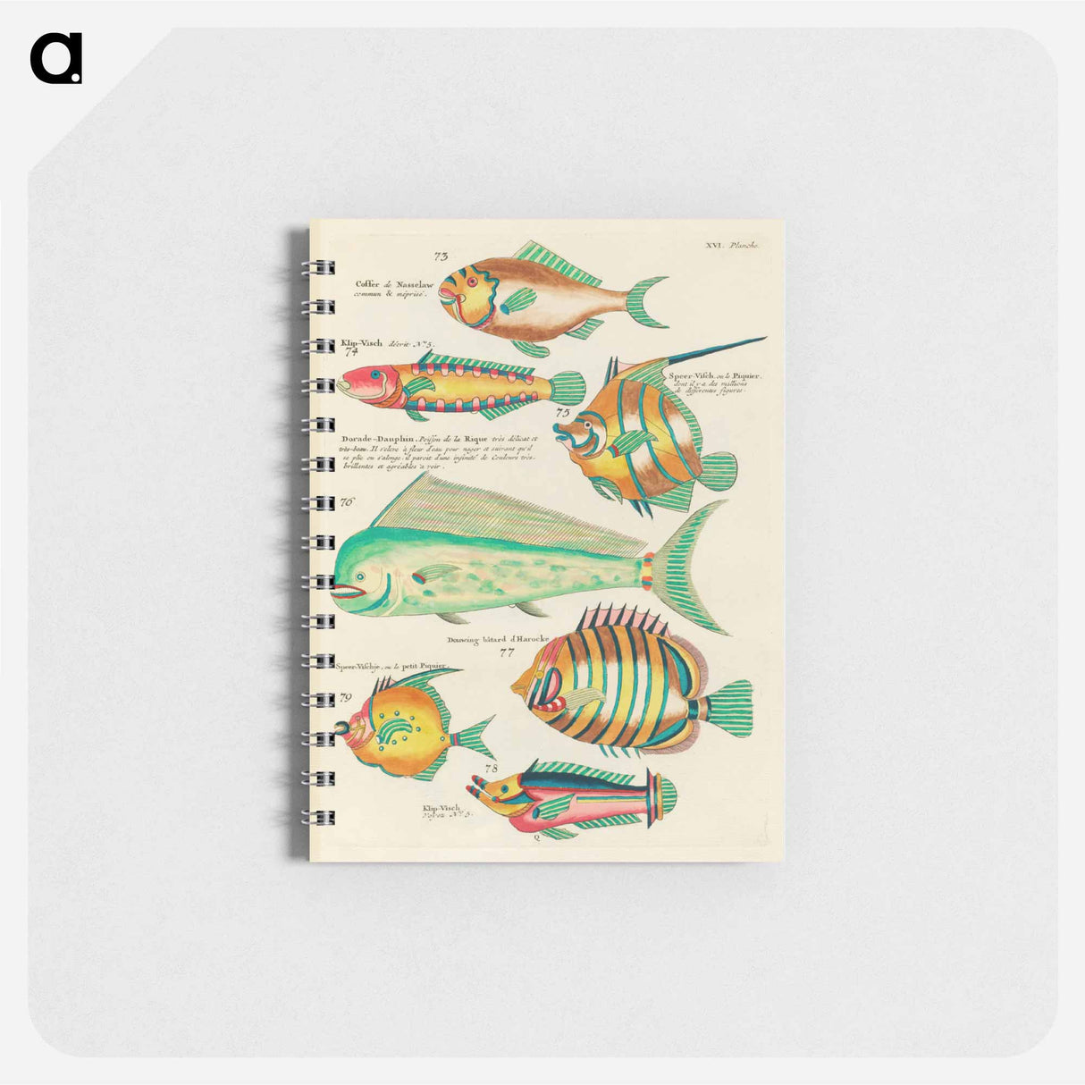 Moluccan Fishes
 - ルイ ルナール Memo.