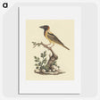 1-56_Luigi-Balugani_picture