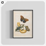 1-56_Maria-Sibylla-Merian_blk-crop