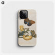 1-56_Maria-Sibylla-Merian_phone