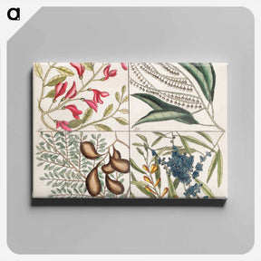 アートパネル-Sorrel Tree, Acacia, and Candle-berry Myrtle
 - マーク ケイツビー Canvas.