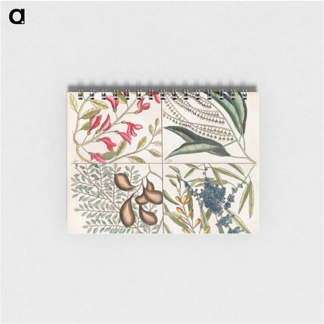 アートメモ帳-Sorrel Tree, Acacia, and Candle-berry Myrtle
 - マーク ケイツビー Memo.