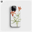 1-56_Mary-Vaux-Walcott_phone