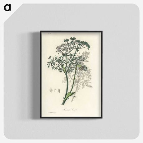 1-56_Medical-Botany_blk-crop