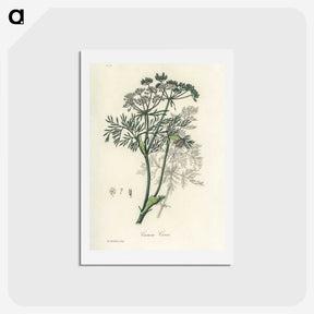 1-56_Medical-Botany_hagaki