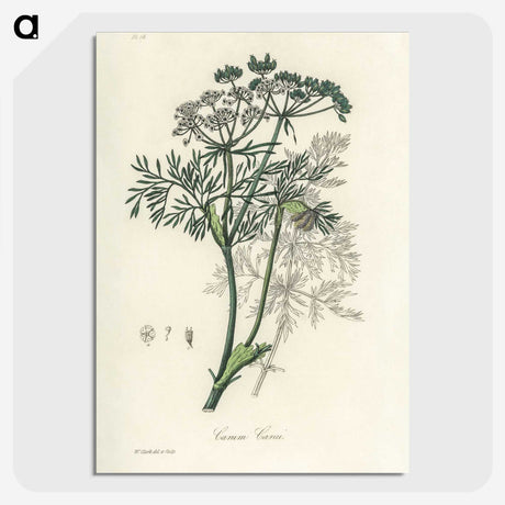 1-56_Medical-Botany_picture-crop