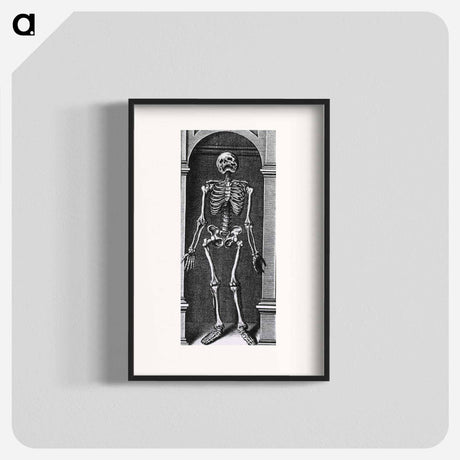 アートポスター-Skeleton Standing in a Small Alcove
 - 国立医学図書館 Poster.