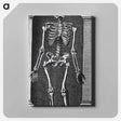 アートパネル-Skeleton Standing in a Small Alcove
 - 国立医学図書館 Canvas.