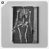 アートパネル-Skeleton Standing in a Small Alcove
 - 国立医学図書館 Canvas.