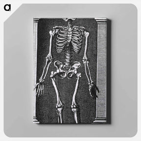 アートパネル-Skeleton Standing in a Small Alcove
 - 国立医学図書館 Canvas.