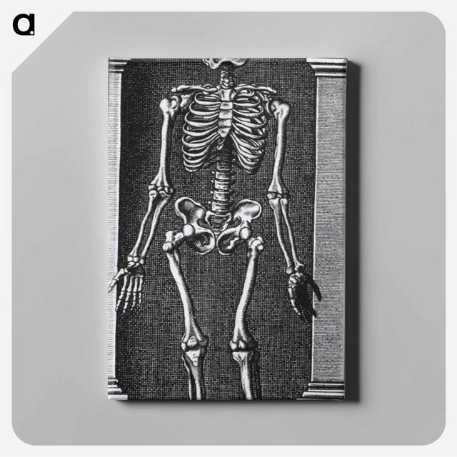 アートパネル-Skeleton Standing in a Small Alcove
 - 国立医学図書館 Canvas.