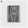 アートメモ帳-Skeleton Standing in a Small Alcove
 - 国立医学図書館 Memo.