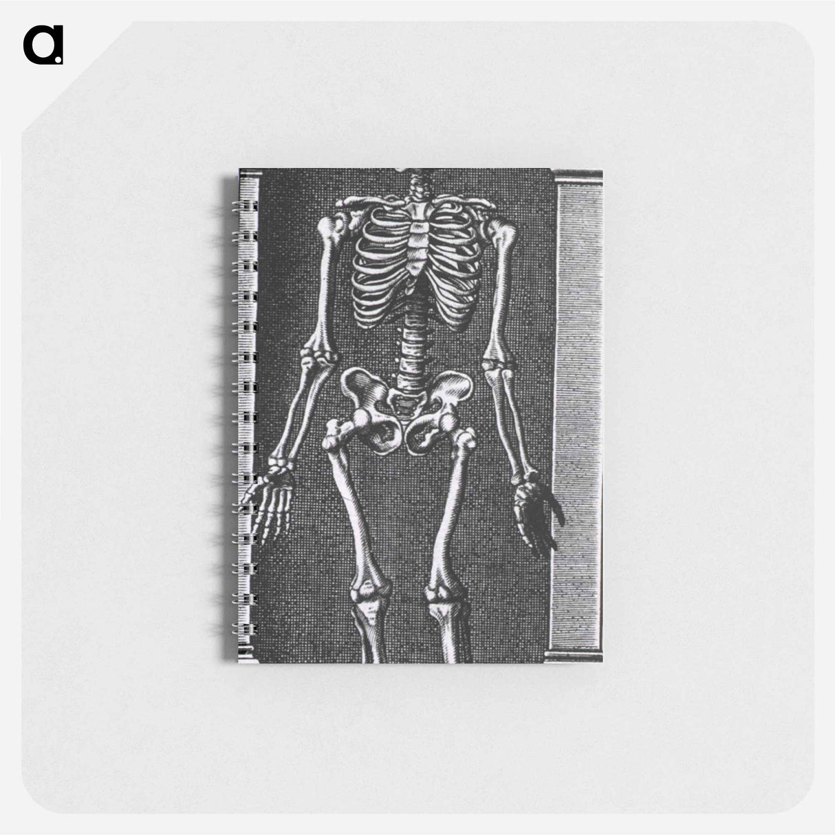 アートメモ帳-Skeleton Standing in a Small Alcove
 - 国立医学図書館 Memo.