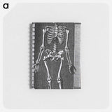 アートメモ帳-Skeleton Standing in a Small Alcove
 - 国立医学図書館 Memo.