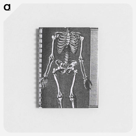 アートメモ帳-Skeleton Standing in a Small Alcove
 - 国立医学図書館 Memo.