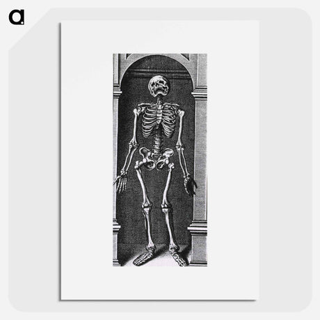 アートポスター-Skeleton Standing in a Small Alcove
 - 国立医学図書館 Poster.