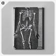 1-56_National-Library-of-Medicine_canvas