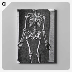 1-56_National-Library-of-Medicine_canvas