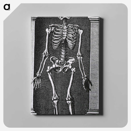 1-56_National-Library-of-Medicine_canvas