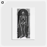 1-56_National-Library-of-Medicine_hagaki