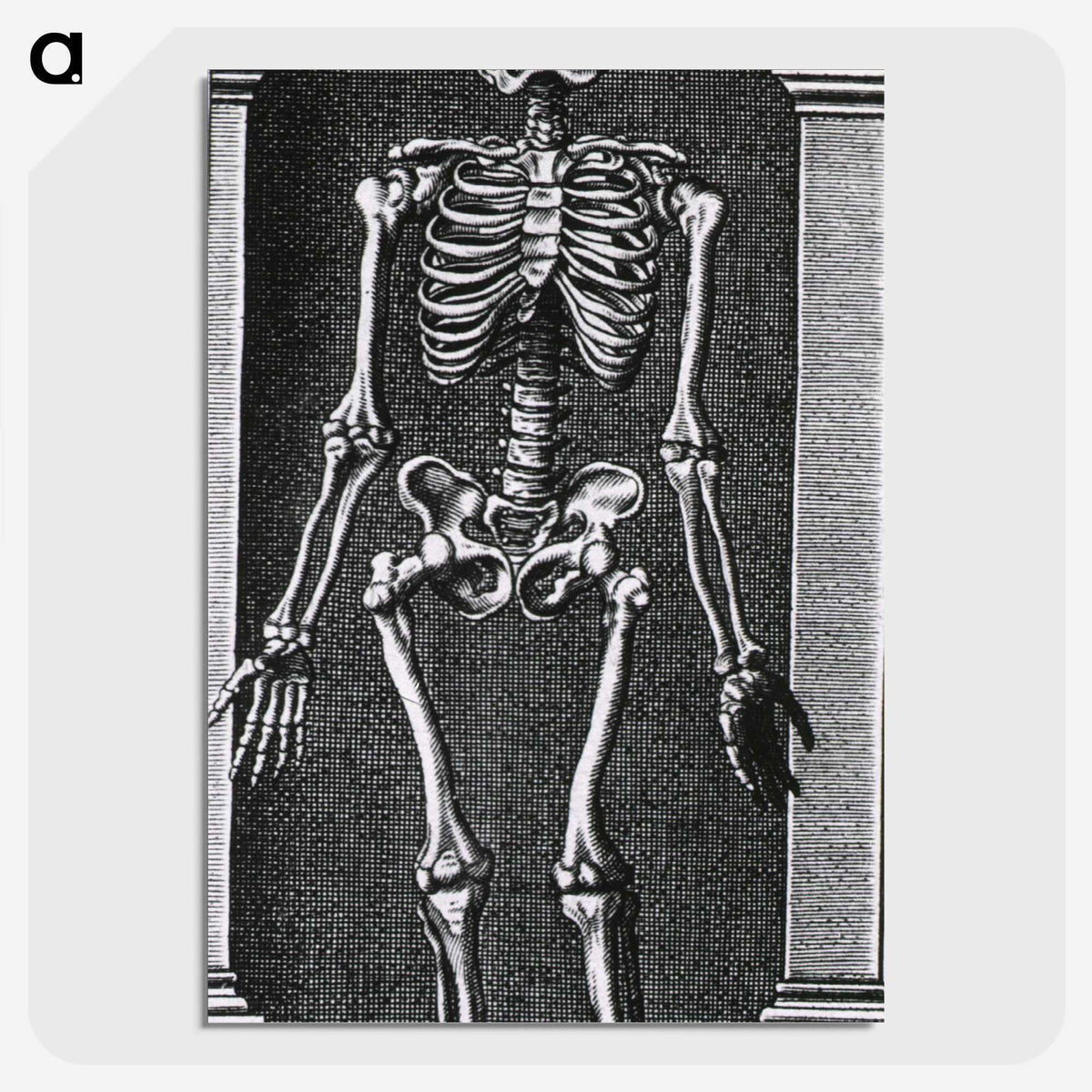 1-56_National-Library-of-Medicine_picture-crop