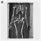1-56_National-Library-of-Medicine_picture-crop