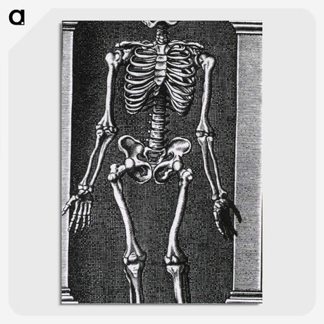 1-56_National-Library-of-Medicine_picture-crop