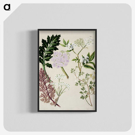 1-56_Native-Flowering-Plants-of-New-Zealand_blk-crop