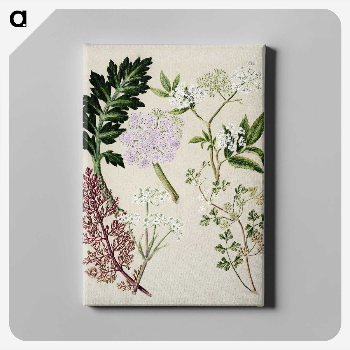 1-56_Native-Flowering-Plants-of-New-Zealand_canvas