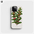 1-56_Nederlandsche-Flora-en-Pomona_phone