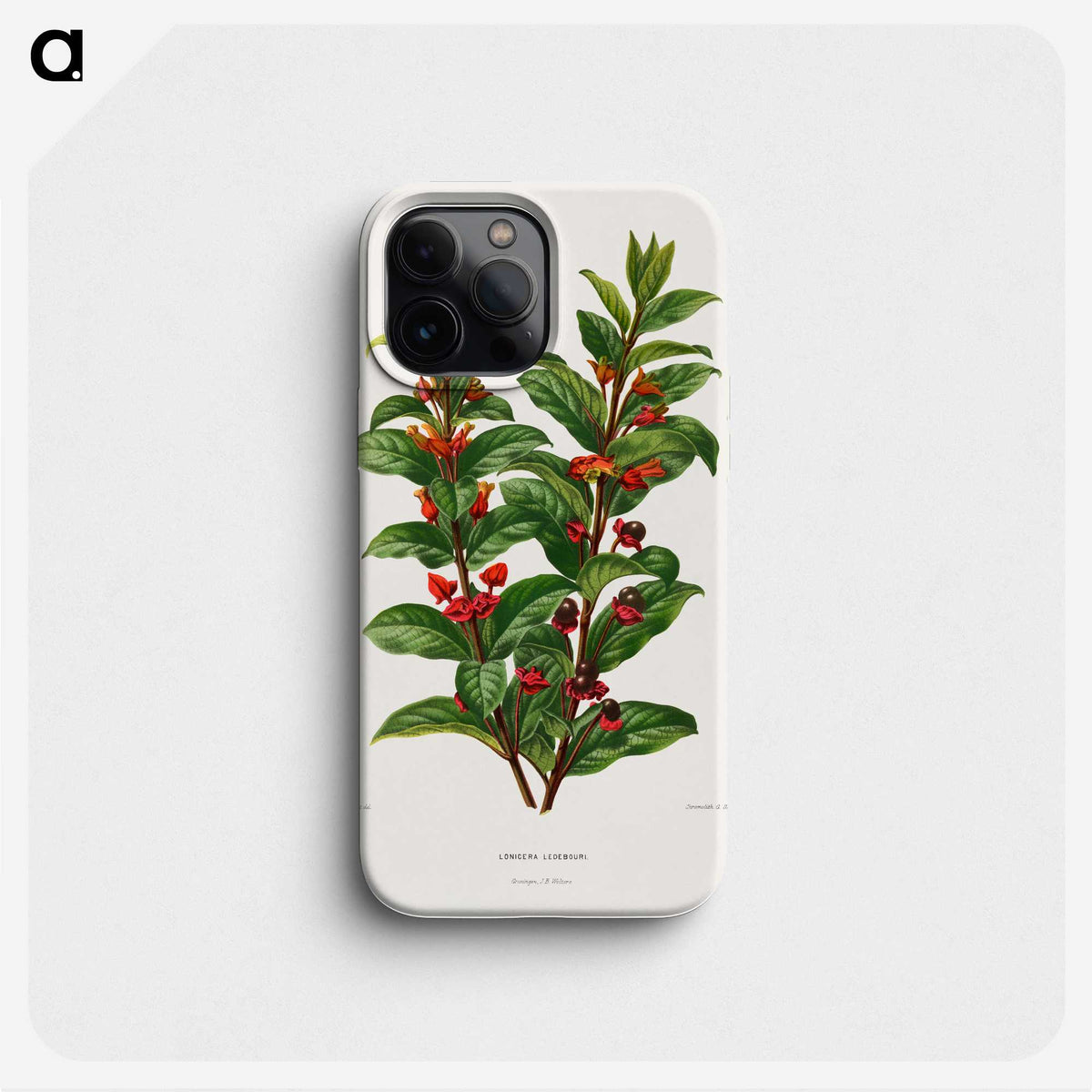 1-56_Nederlandsche-Flora-en-Pomona_phone
