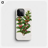 1-56_Nederlandsche-Flora-en-Pomona_phone