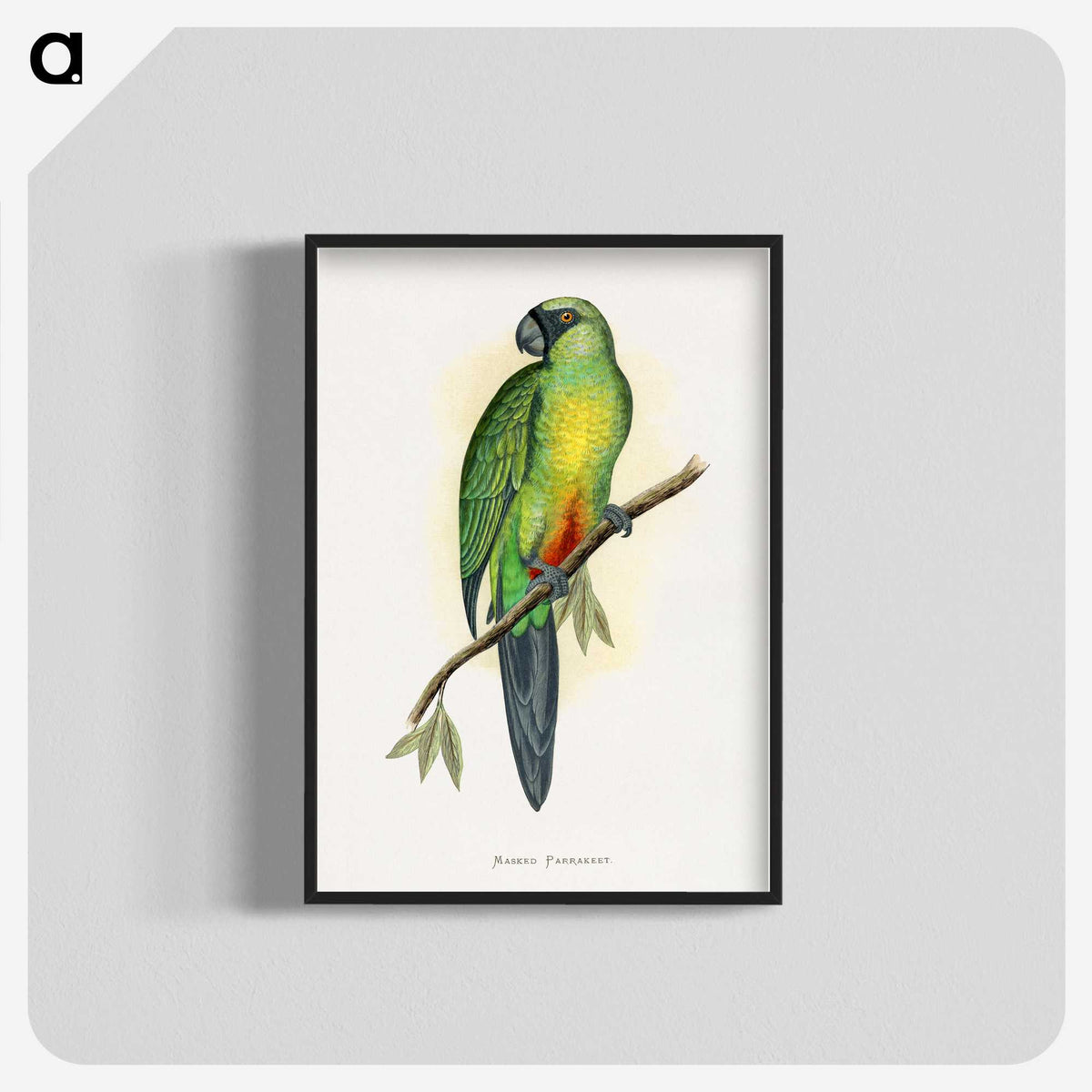 1-56_Parrots-in-Captivity_blk-crop