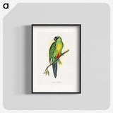 1-56_Parrots-in-Captivity_blk