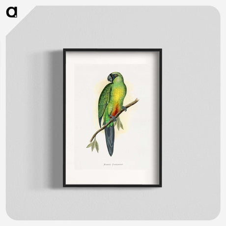 1-56_Parrots-in-Captivity_blk