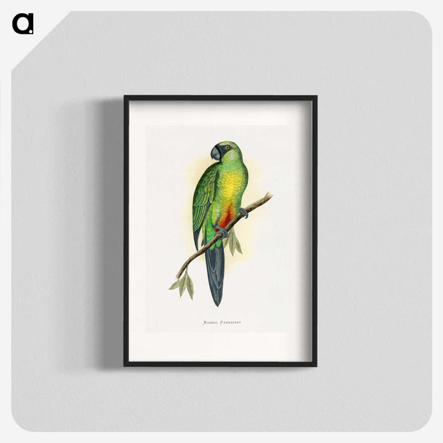 1-56_Parrots-in-Captivity_blk