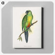 1-56_Parrots-in-Captivity_canvas
